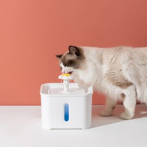 Distributore dacqua automatico intelligente Alimentatori automatici per cani da gatto
