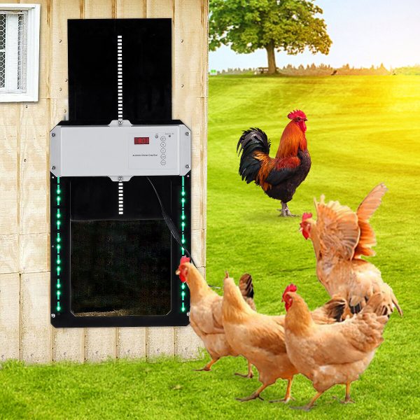 Porta automatica del pollaio Porta automatica sensibile alla luce della  casa del cucciolo Forniture per animali domestic - Prezzi e…