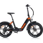 World Dimension ROX Bicicletta Elettrica