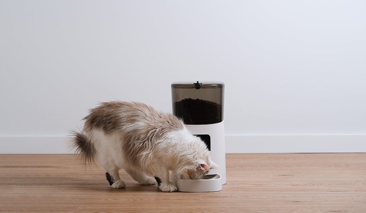 Dispenser elettrico di cibo e acqua per animali