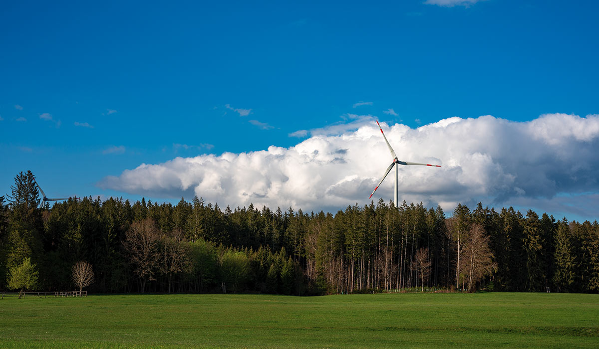 Cambiamenti climatici ed energia elettrica